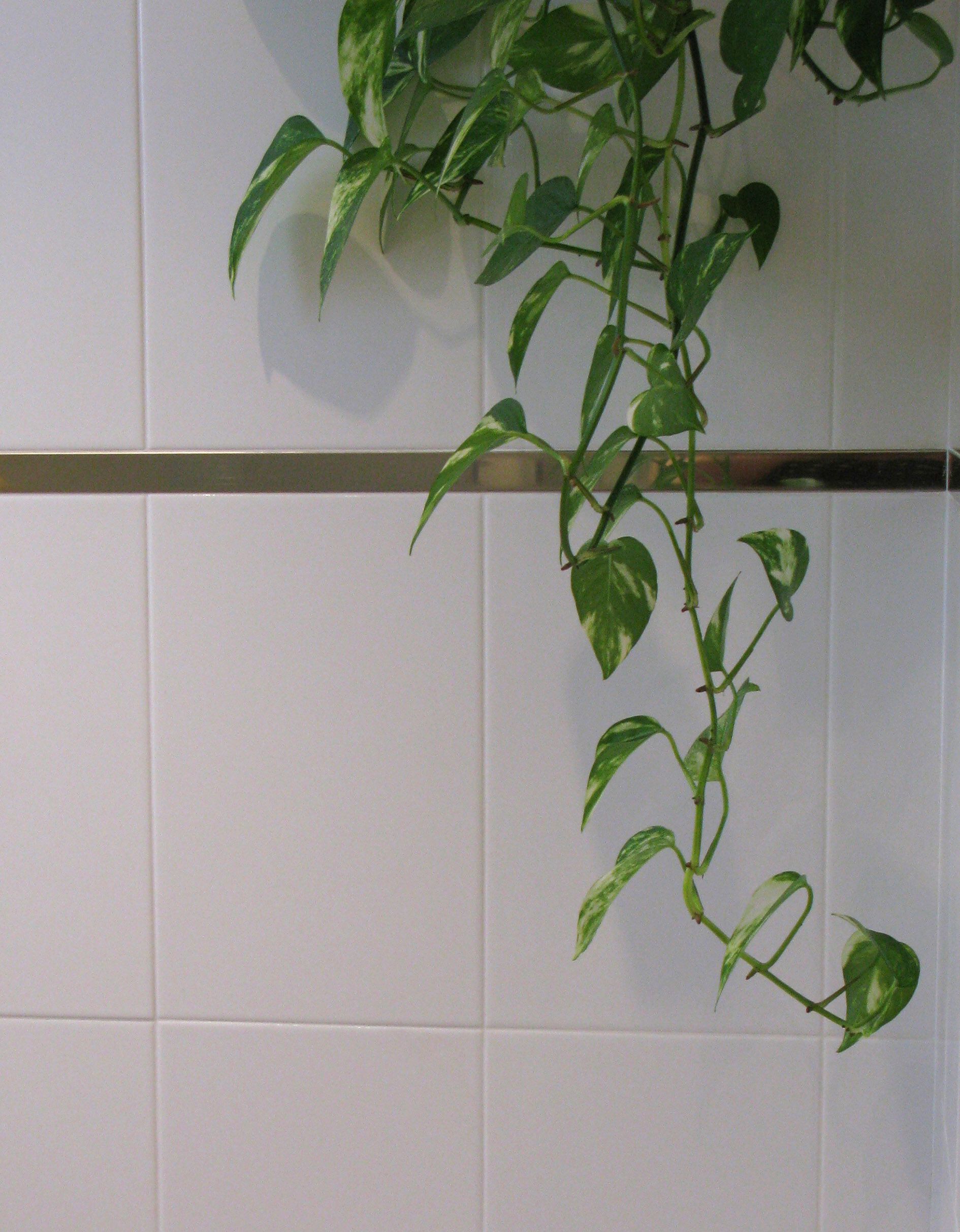 Декоративная доска из нержавеющей стали EMAC Italia Novolistel® ARCH-00099087 - Вид №1