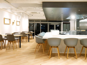 Пол / покрытие цемента смолы