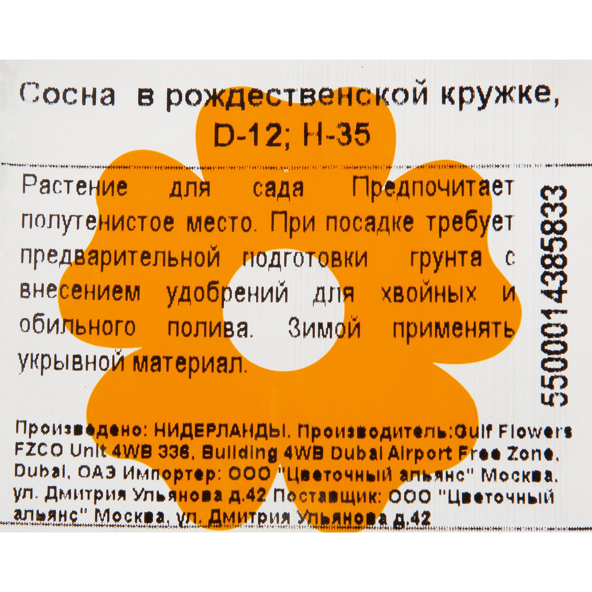 82769602 Сосна в рождественской кружке 10.5x35 см Santreyd  - Вид №3