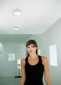 006301 Потолочный светильник Vibia Basik