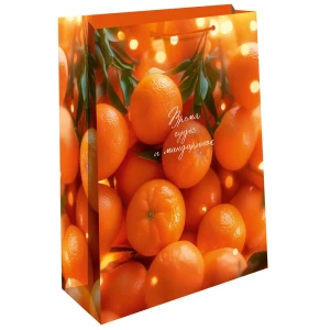 Подарочный пакет Арт и дизайн 32x26 см бумажный в ассортименте