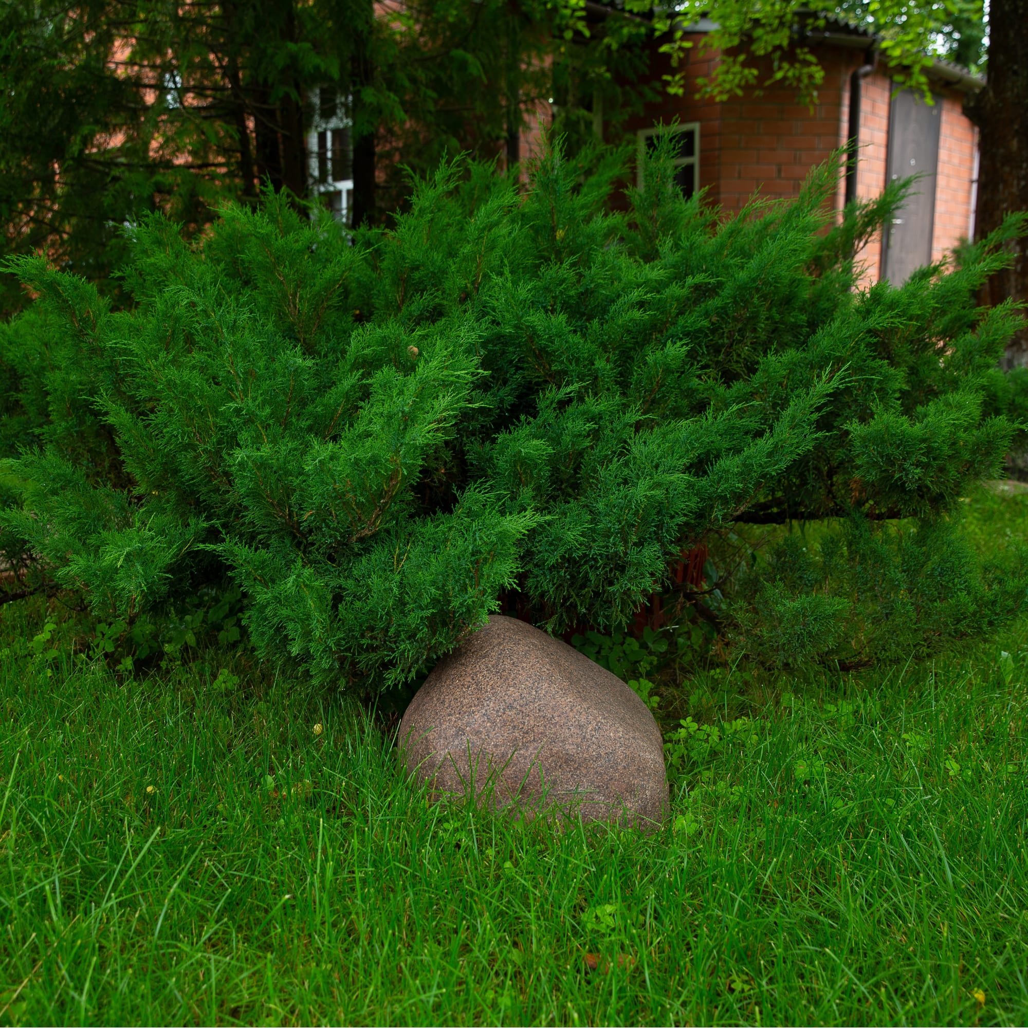 82616735 Валун Ø30 см Santreyd  - Вид №4