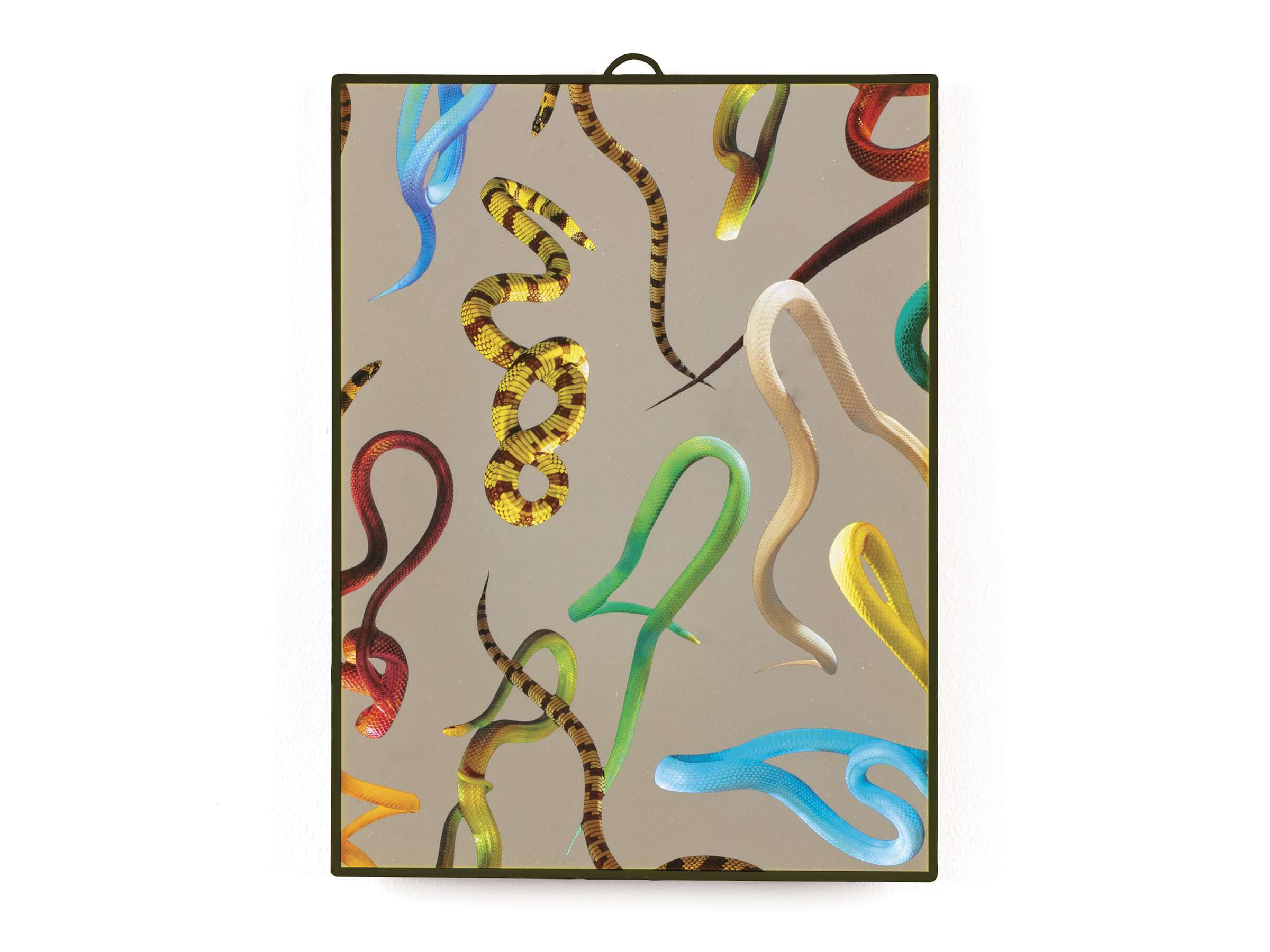 Настенное зеркало с пластиковой рамкой Seletti Seletti wears Toiletpaper ARCH-00018040