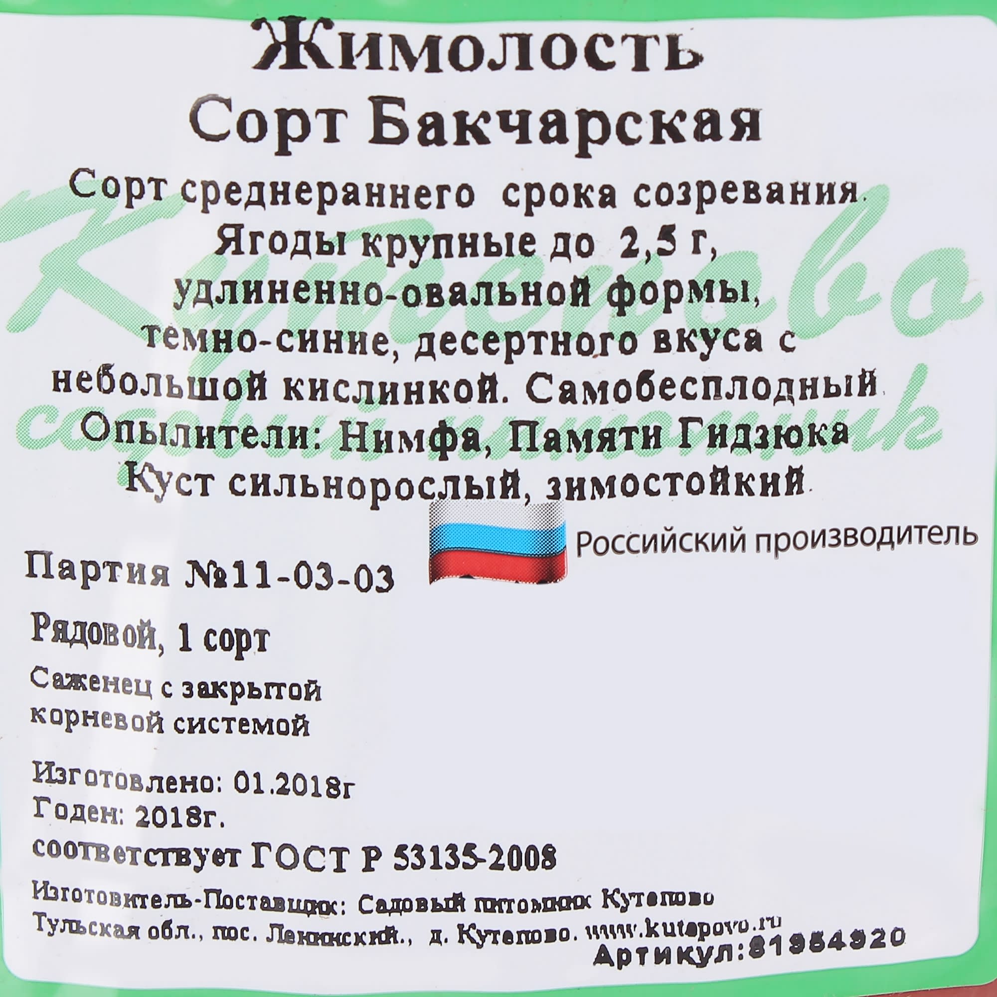 81954920 Жимолость плодовая С3 «Бакчарская» h50 Santreyd  - Вид №1