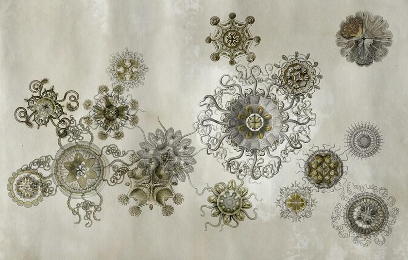 Wall&decò Обои на стену Wet system 15 sun-id-1354917 - Вид №1