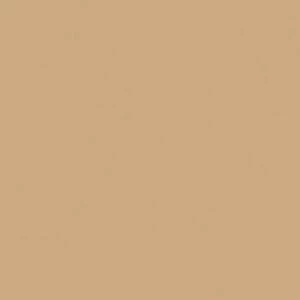 Керамогранит Rainbow RW 15 40x40 Неполированный