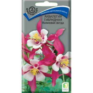 Аквилегия Примавера Роуз энд Вайт ПОИСК - изящный водосбор с розовыми цветами 89401268