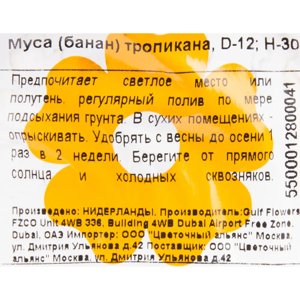 Муса (банан) тропикана 13529800 STLM-2084143 Santreyd  - Вид №2