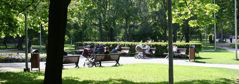 Euroform W Деревянная скамейка со спинкой  50  - Вид №3