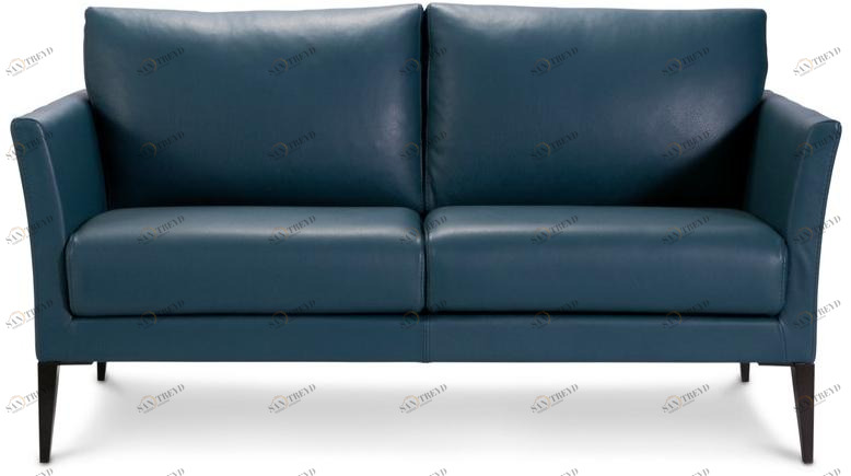 Duvivier Canapés 2-х местный кожаный диван со съемным чехлом  Edgaxf21 