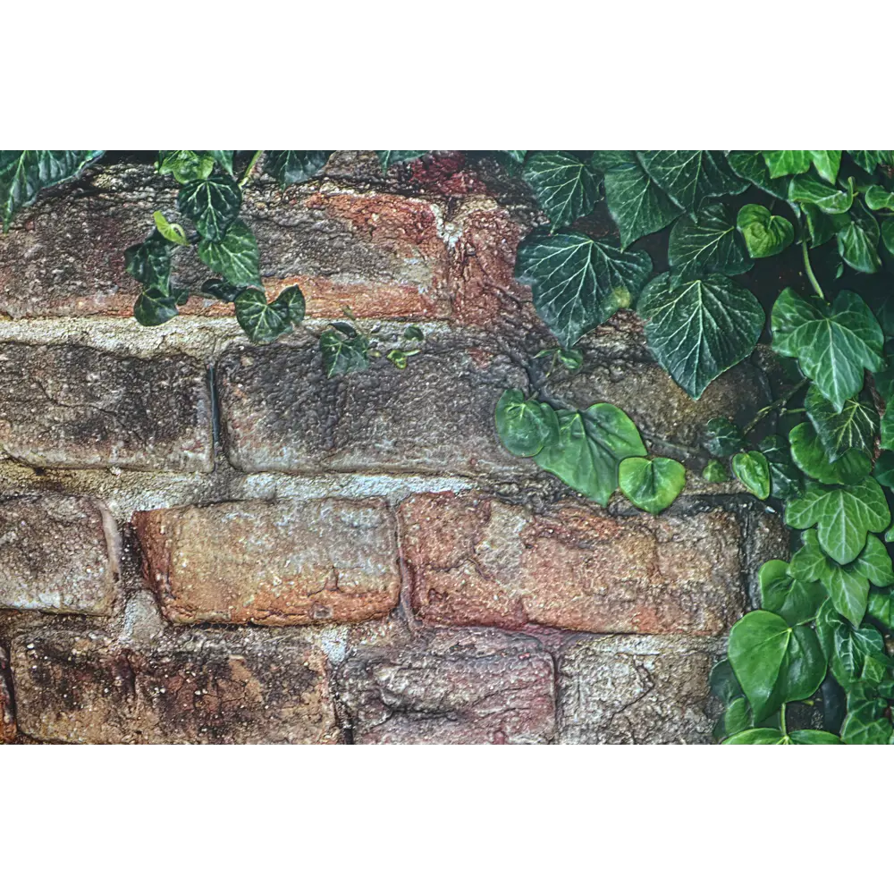 Листовая панель ПВХ Плющ 1002x602x0.5 мм 0.6 м² GRACE STLM-2076638