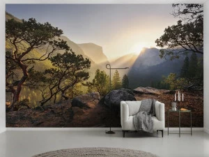 Komar Флизелиновые обои с пейзажами Wanderlust Shx9-101