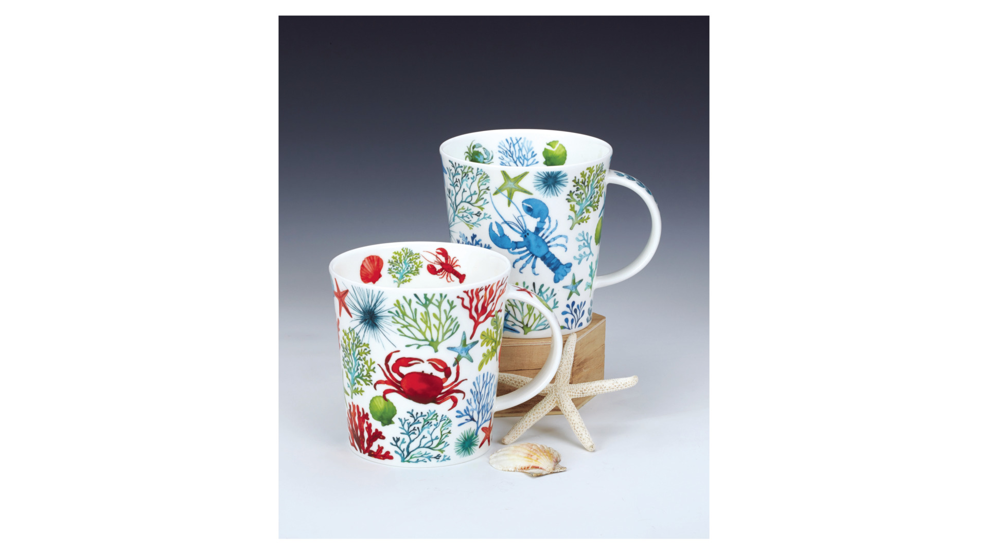 10672743 Dunoon Кружка Dunoon На дне морском.Ломонд 320мл, фарфор, голубая Фарфор костяной  - Вид №1