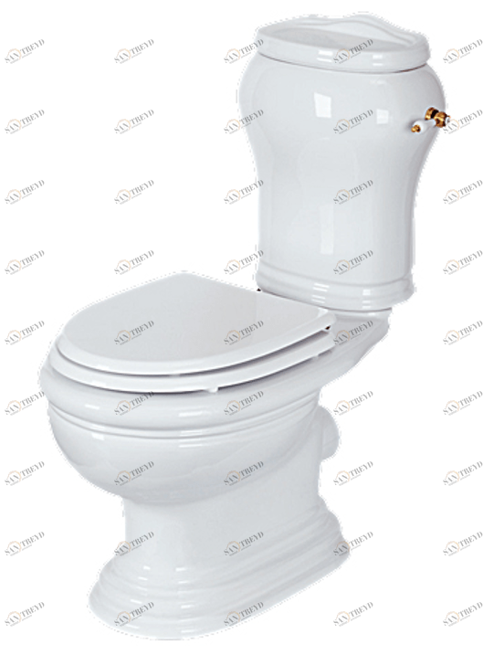 ML.MLD-25.701.BI/ML.MLD-25.708.BI/ML.OLV-29.012/ML.OLV-29.015/ML.RIC-29.040.BI.BR Компакт унитаз с бачком Белый Migliore  Италия 