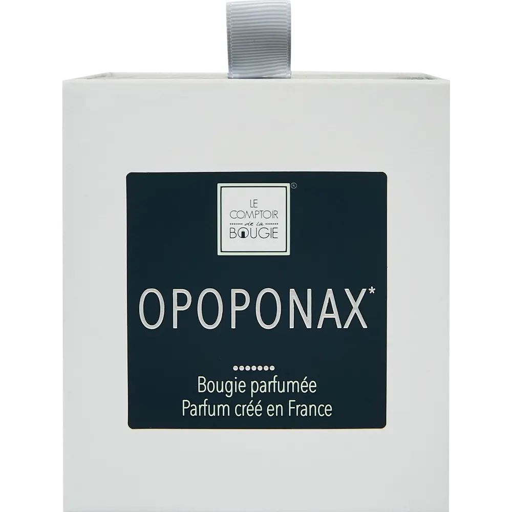 Свеча ароматизированная в стакане Опопонакса прозрачная 9.5 см Atmosphera STLM-2148422 - Вид №4