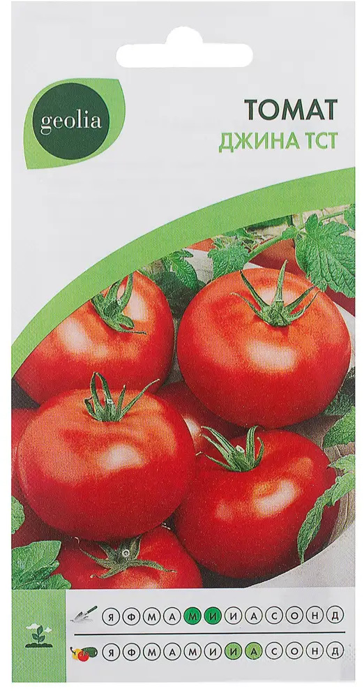 Семена томата GEOLIA Джина ТСТ - Урожайный сорт для грунта и теплиц 17585295