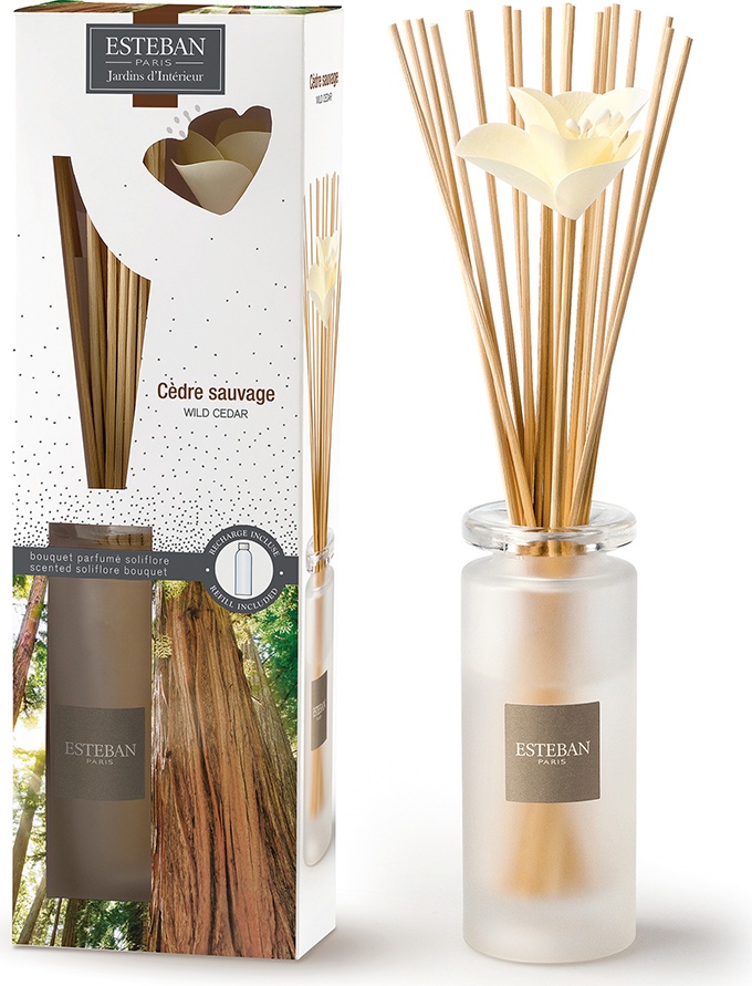 10635971 Esteban Аромадиффузор 75мл "Дикий кедр" Стекло 