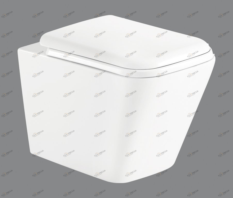 Унитаз подвесной безободковый с креплением BelBagno ARDENTE-R Подвесной унитаз настенный Белый BELBAGNO  Китай 