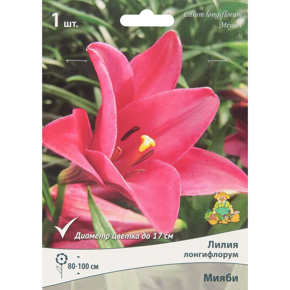 Лилия лонгифлорум Мияби ПОИСК STLM-2145983
