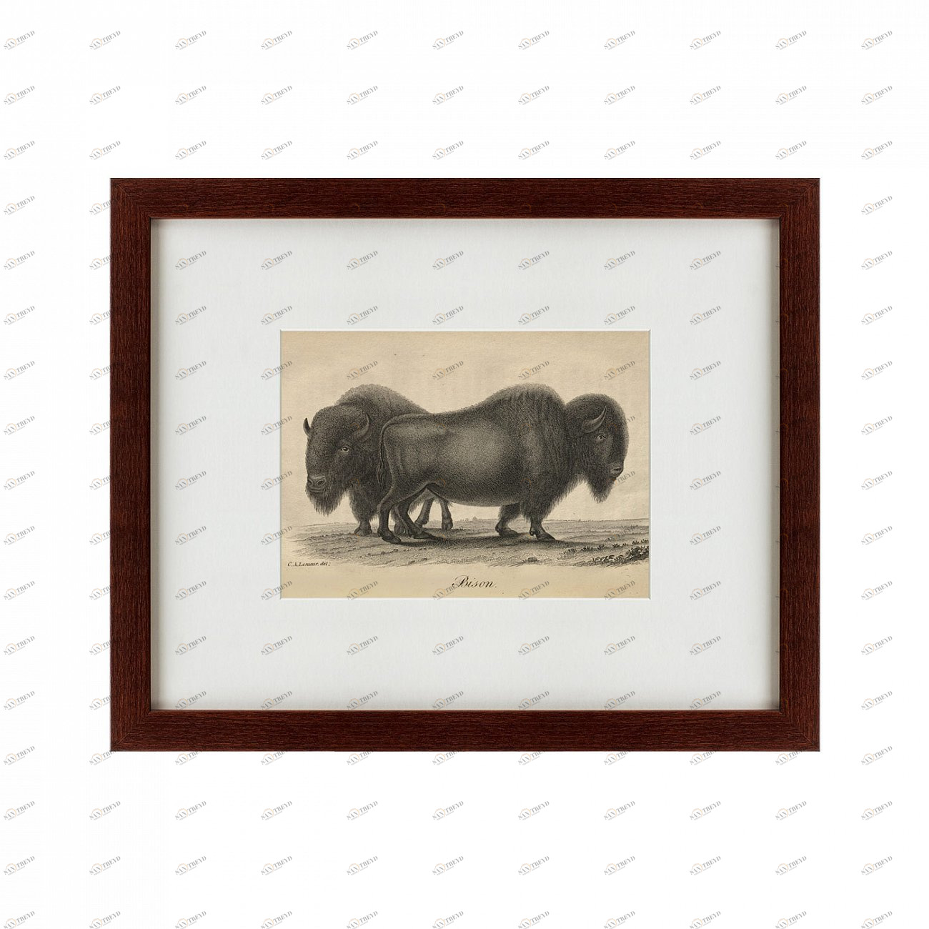 Картина в раме 52х42 см Bison, 1828 КАРТИНЫ В КВАРТИРУ  135667 Коричневый 
