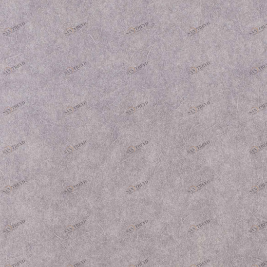 0116-PIT Обои ProSpero Space 0116PIT