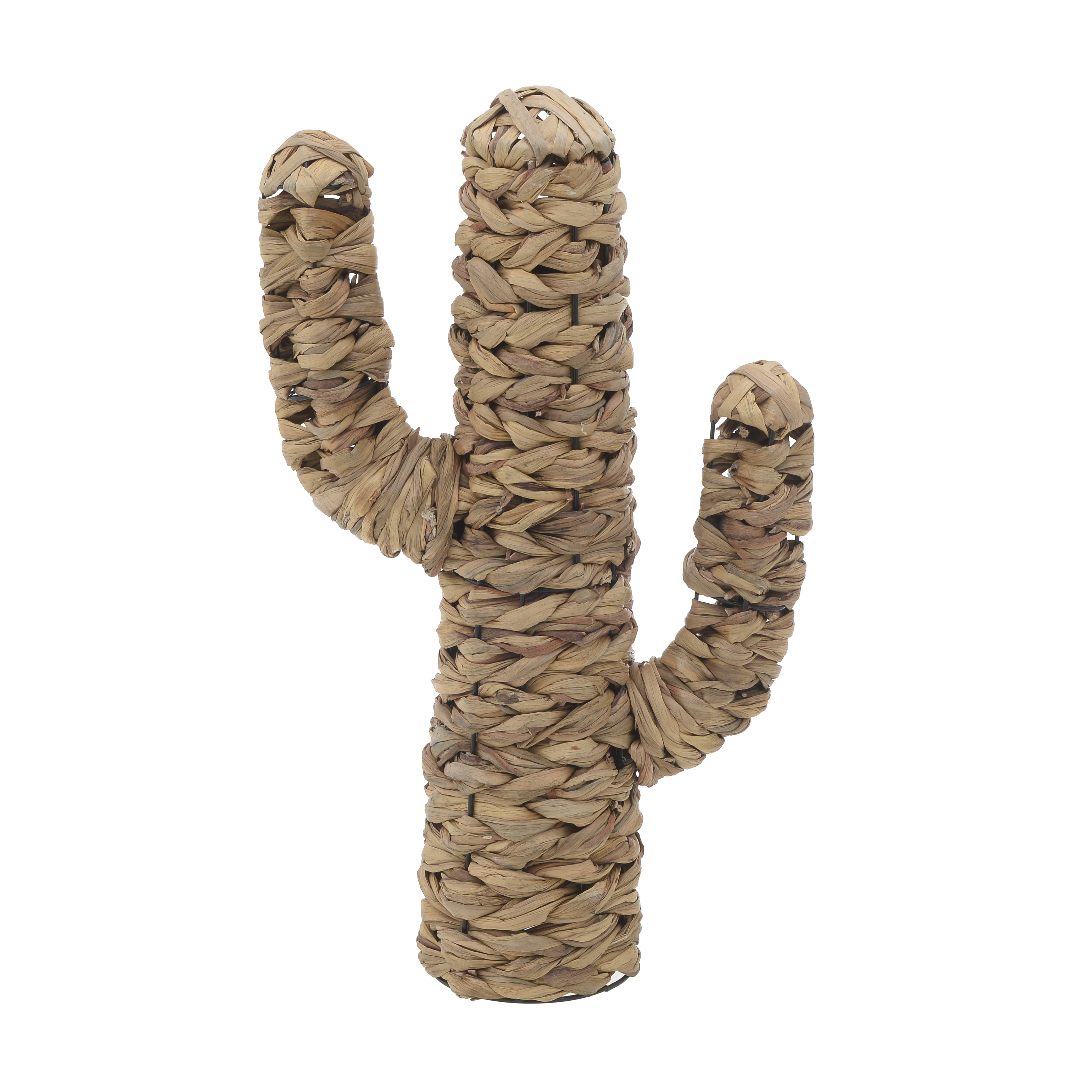 3870823.0235 ДЕКОР - КАКТУС TO4ROOMS  - Вид №1