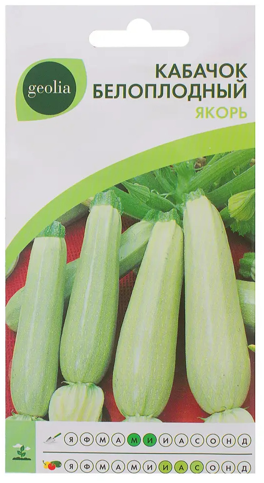 Семена кабачка белоплодного GEOLIA «Якорь» — скороспелый сорт для богатого урожая 17584735