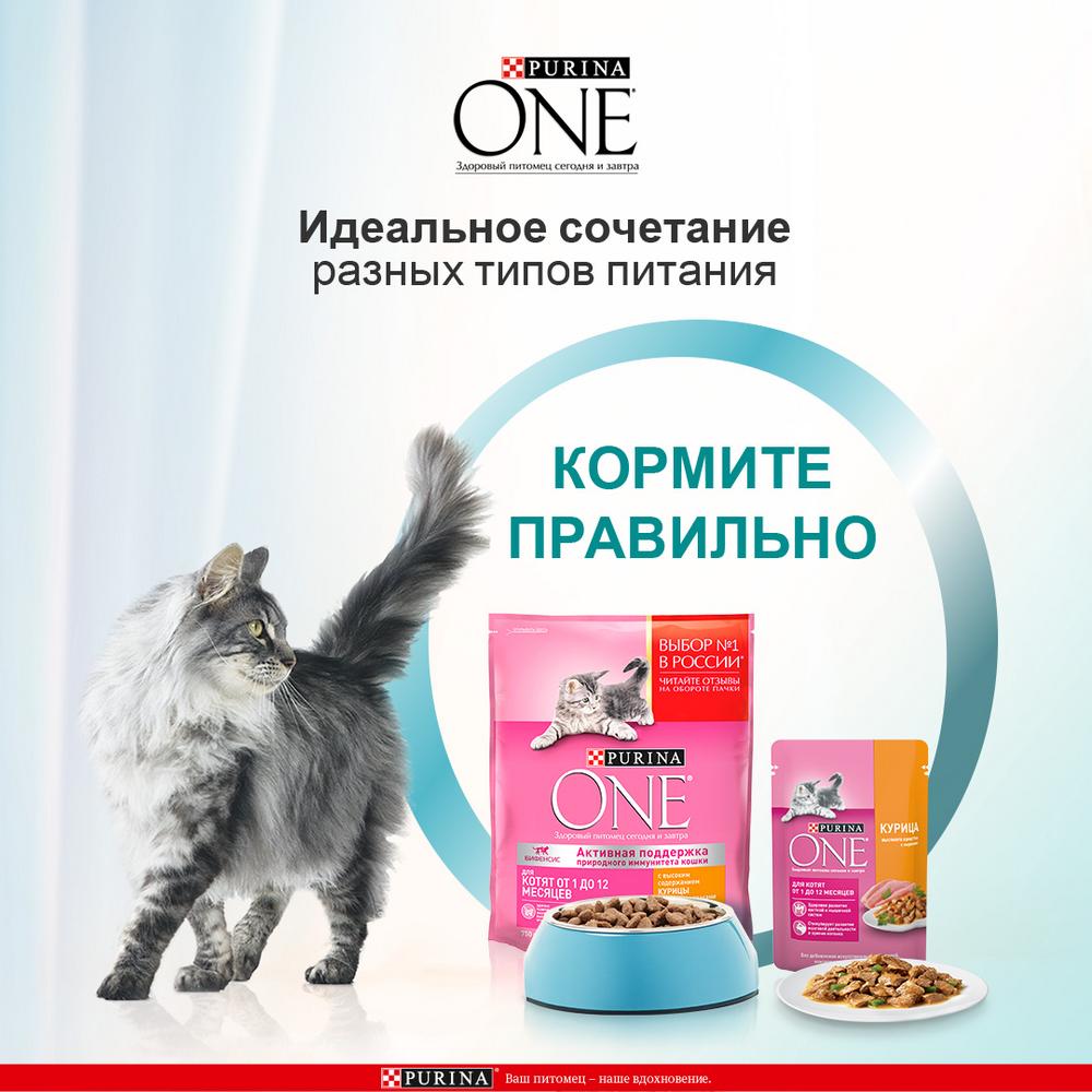 ПР0059651 Корм для котят Курица, цельные злаки сух. 200г ONE  - Вид №8