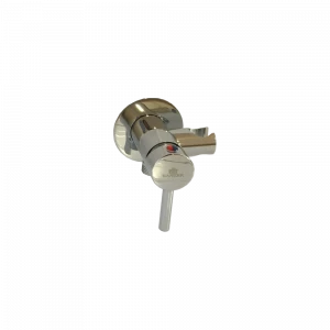 GZ 42101 Смеситель для биде с подключением для душевого шланга и держателем для душа Ganzer Хром