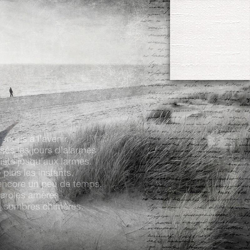 WP02006A Обои декоративные Adriani e Rossi  - Вид №2