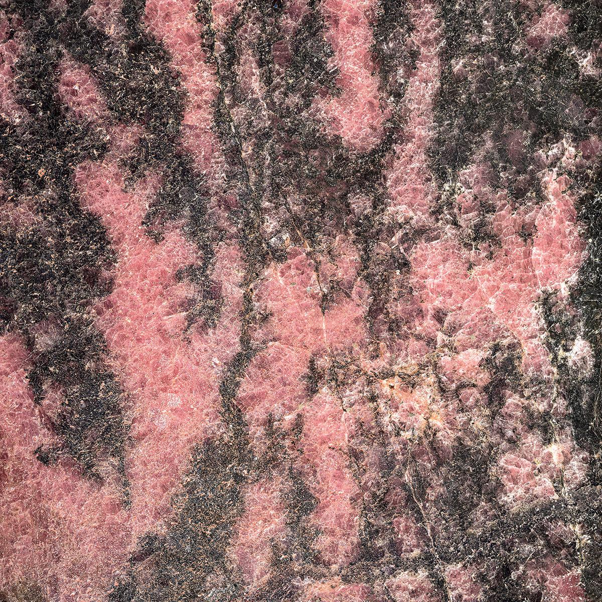 SICIS Regium Feather Black Vetrite Art sun-id-1991251