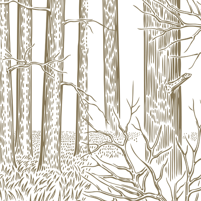 Стеновые панели - Вальдиссимо LIGRON LIST93 2320