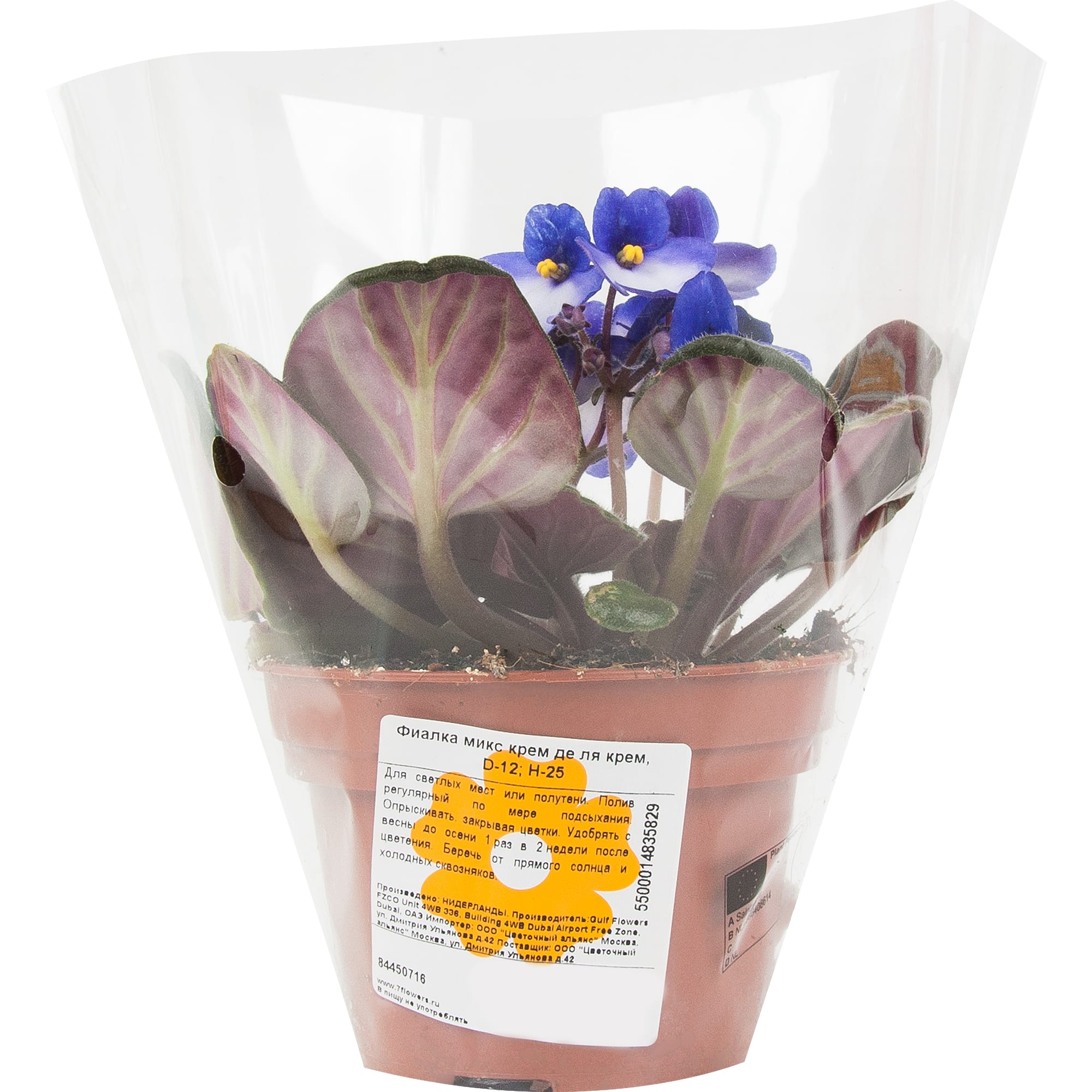 84450716 Фиалка Крем де ля крем микс ø12 h25 см Santreyd  - Вид №3