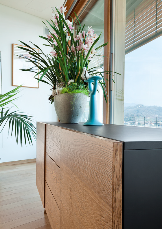 Буфет CARGO-2C DOMITALIA CARGO.M.2C1.LAGRNS  - Вид №1