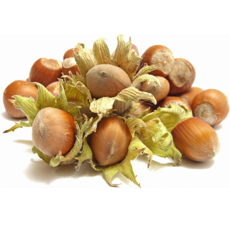 Фундук свежий Santreyd 20217 - Вид №1