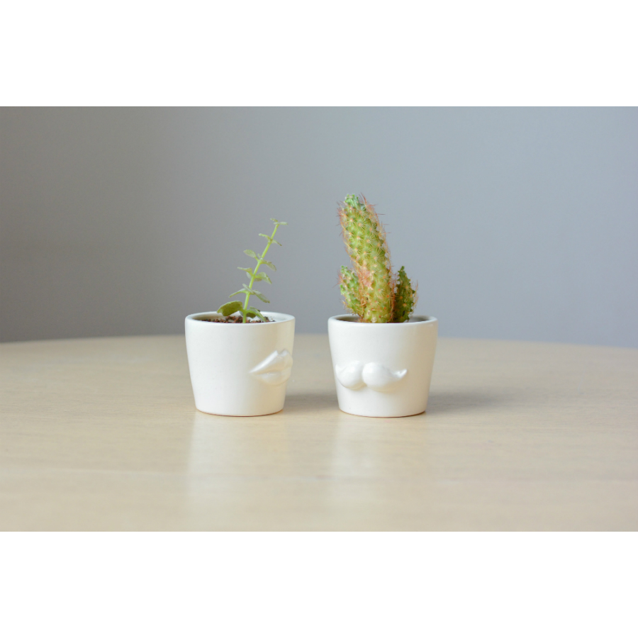 Набор для выращивания Eco мини-кашпо «Губы» ЭКОЧЕЛОВЕКИ MIN101 - Вид №5