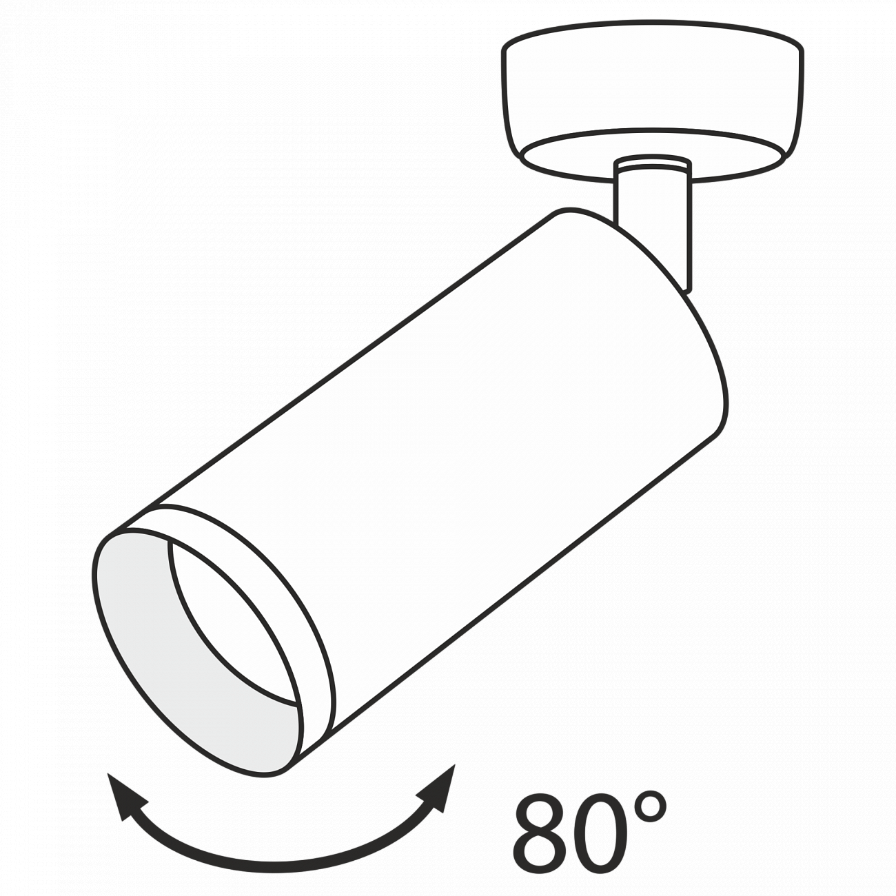 Спот потолочный галогеновый поворотный 19,5 см графит Focus C017CW-01GF TECHNICAL CEILING & WALL 00-3956970 Черный  - Вид №4