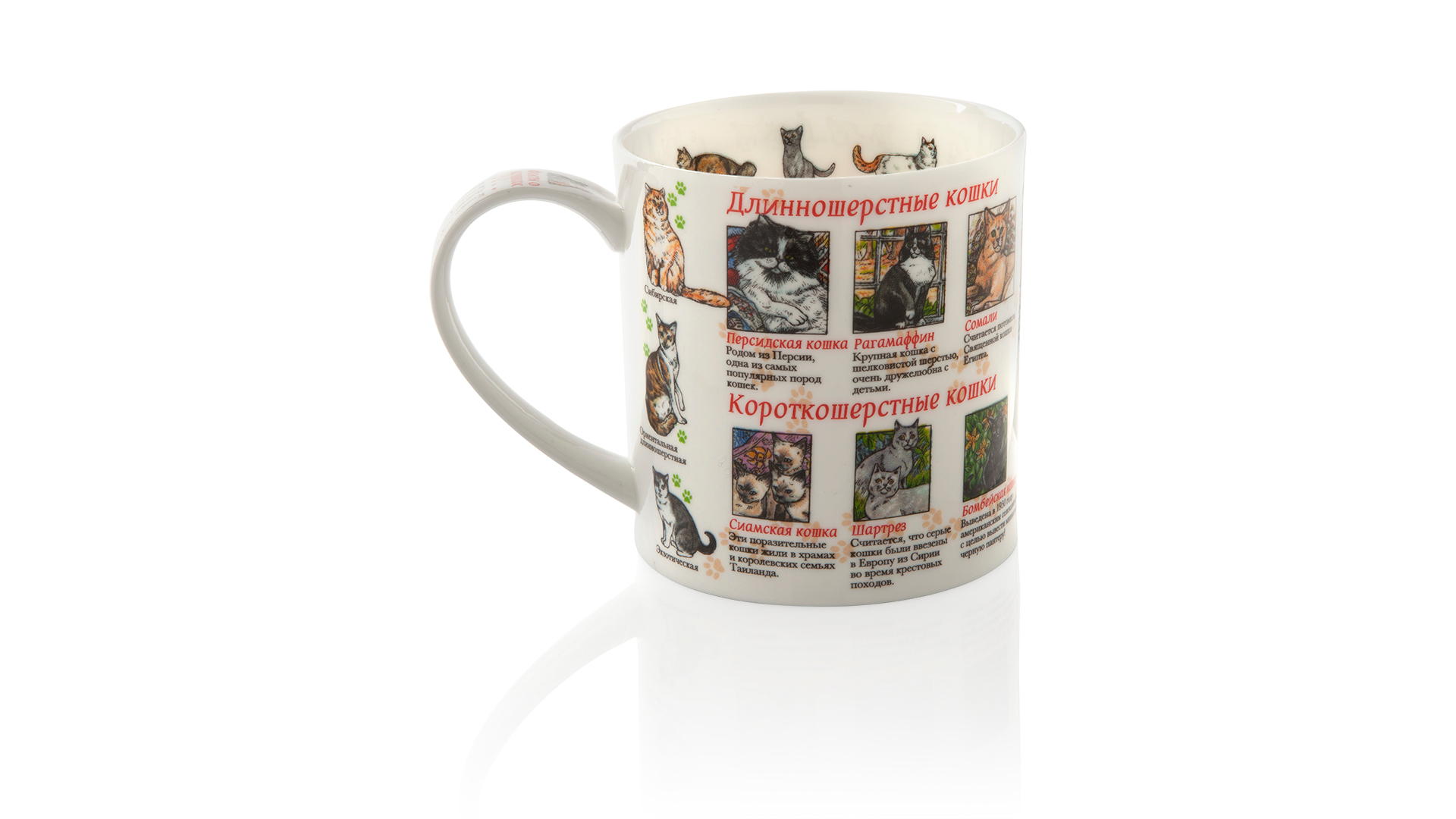 10618179 Dunoon Кружка Dunoon "Мир кошек.Оркни" 350мл Фарфор костяной  - Вид №1