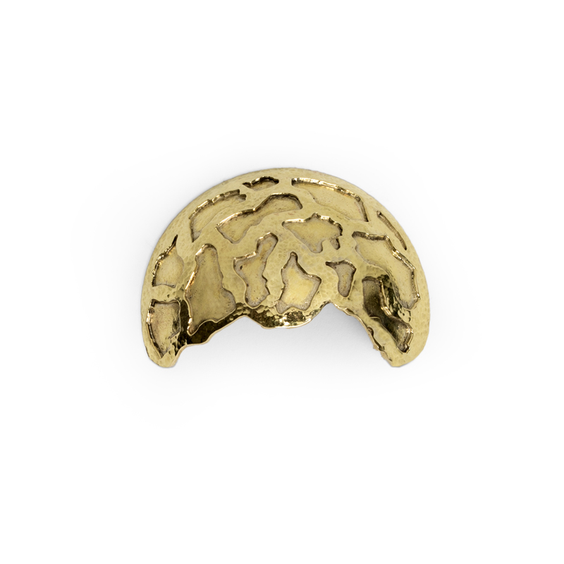 OC2021 PullCast Ручка ящика TURTLE Полированная латунь 