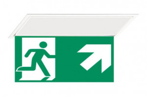 DST-227 Hydra pennant Daisalux Светильники аварийные Белый