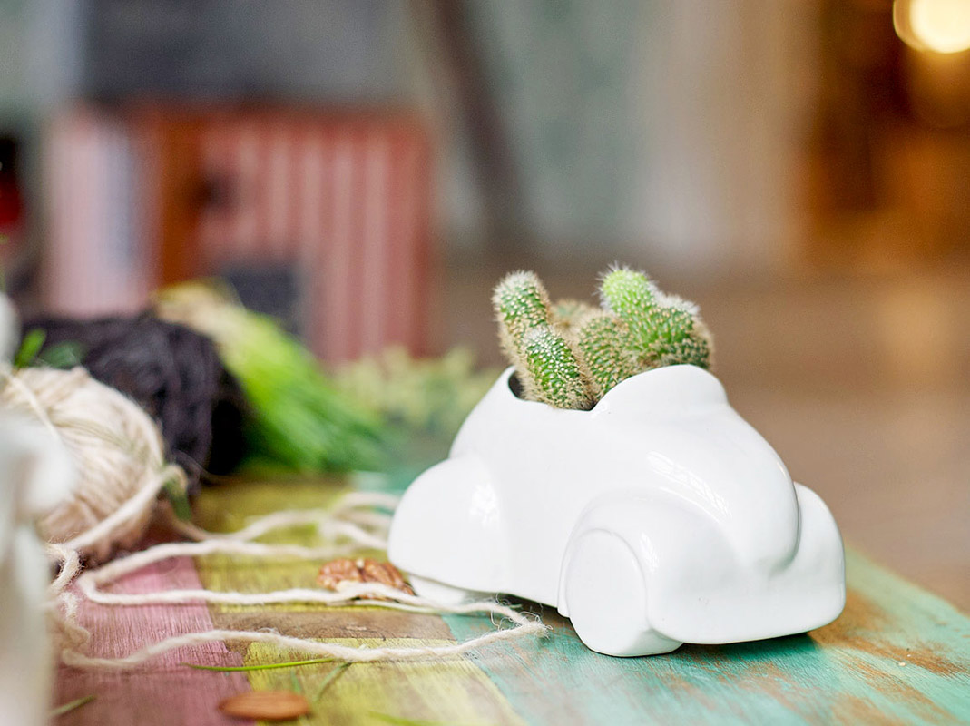 Набор для выращивания eco "Машина" ЭКОЧЕЛОВЕКИ  254575 Белый  - Вид №3