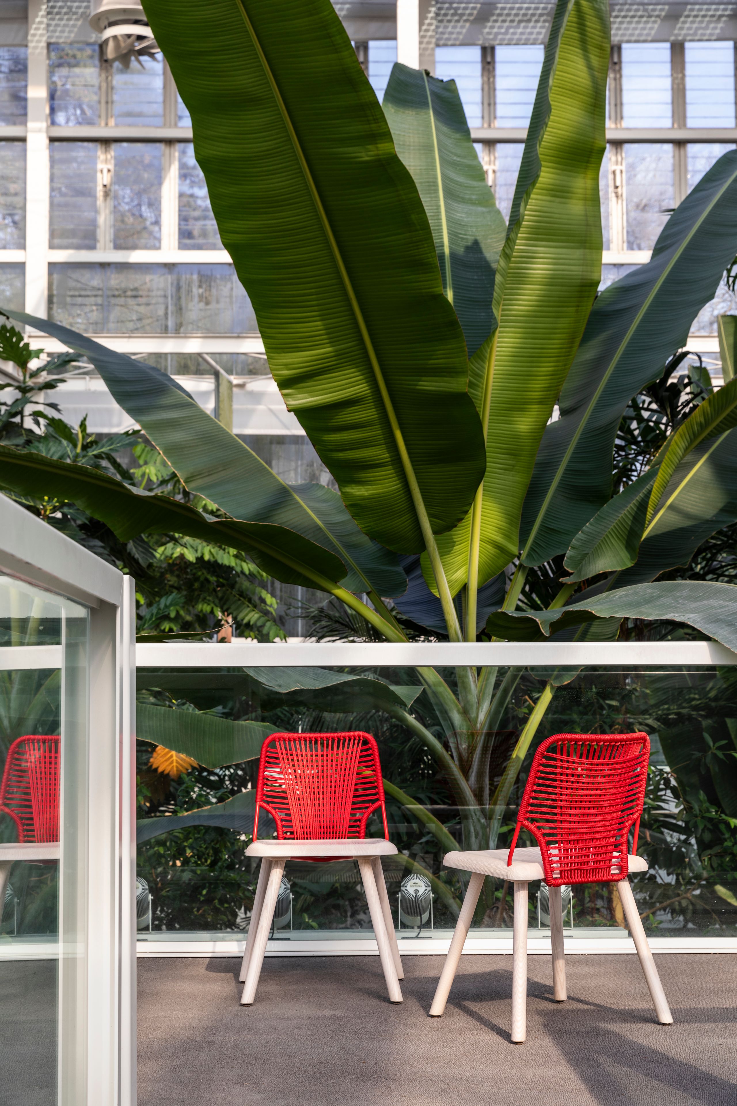 Деревянный стул TrabA' ARCH-00011498 - Вид №6