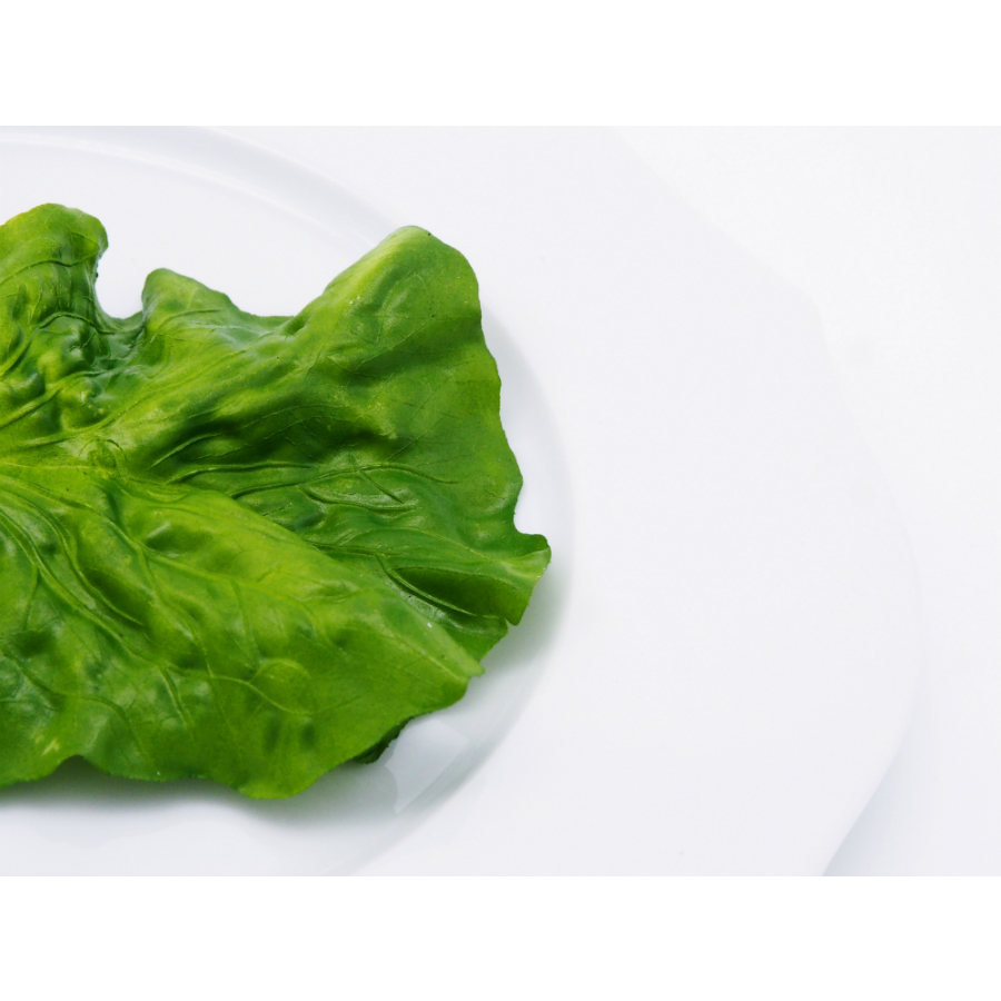 Листья салата искусственные (6 шт) Mr Plant 347990 - Вид №4