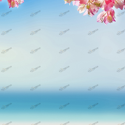 D2-004 Фотообои DIVINO Collection D 2.7х2 м D2004