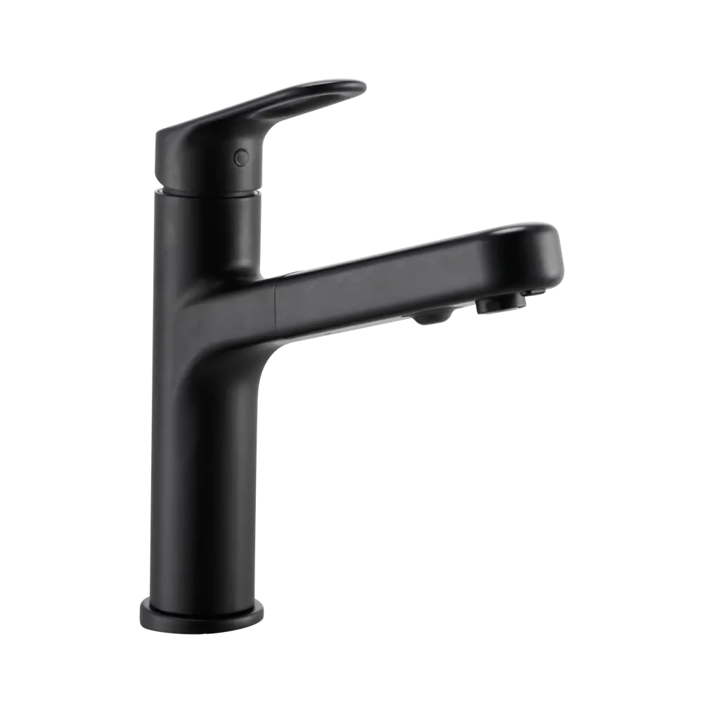 Кухонный смеситель DELINIA Icone чёрный матовый с аэратором 85317109 STLM-0871840 - Вид №1