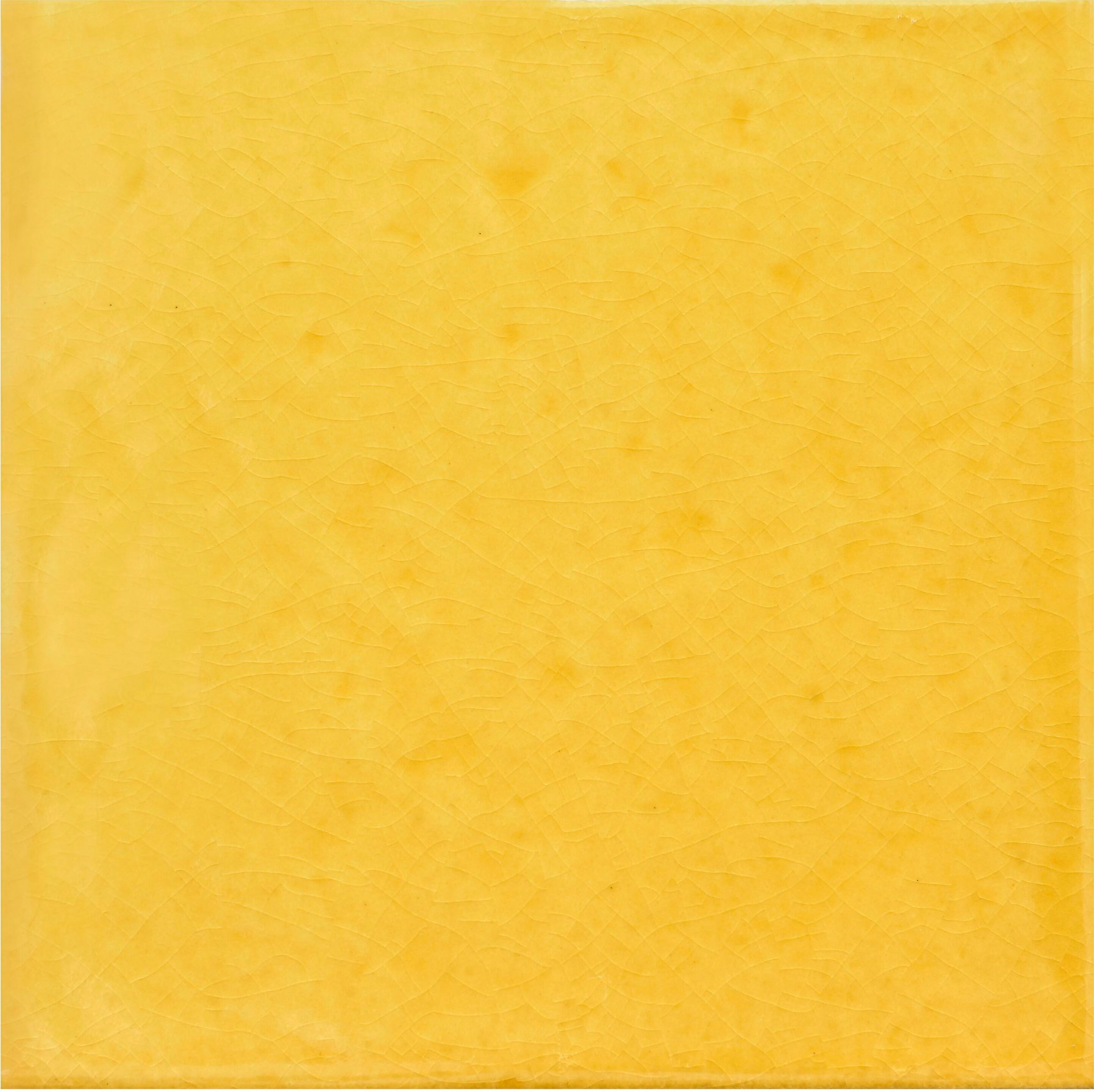 Пол / покрытие ручной работы La Riggiola одноцветный ARCH-00082525 - Вид №15