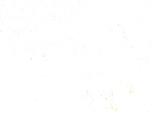 Azichem Соединительный элемент между насосной трубкой и форсунками Syntech