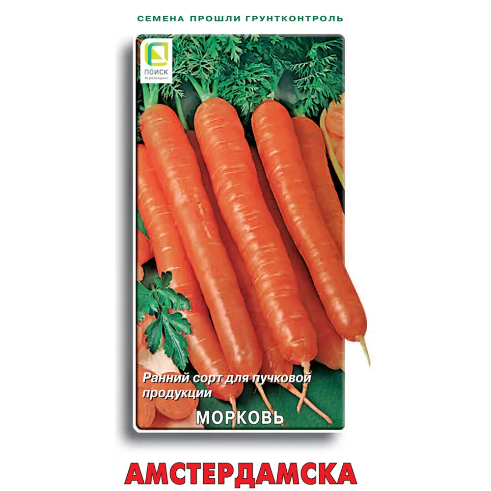 Семена моркови Амстердамска для раннего урожая 89401136 ПОИСК STLM-1577679