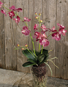 2579 515 a2 Пластиковая орхидея Phalaenopsis, ваза с водой, 80 см, real touch, розовая H-andreas
