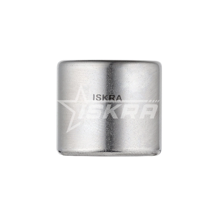 IS1660 Подшипник HK40202RS ISKRA  - Вид №5